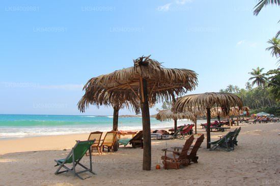 Visit Goyambokka Beach